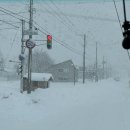 대정읍 신호등식당 북쪽 | 삿포로 비에이투어 추천"홋카이도랩" 일일 버스투어 스탠다드 내돈내산 추천후기