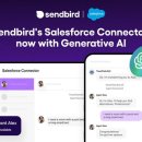 버드벨리 이미지