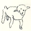 몽골민박 이미지