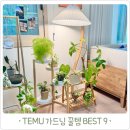 홈가드닝 플랜테리어(오창) | 도심 속 힐링 플랜테리어 테무 가드닝 꿀템 BEST 9