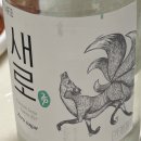 참된식품 건어물 | 처음처럼 새로 도수와 맛 후기 (feat. 신상 여우 소주)