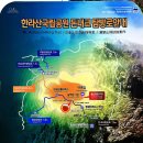 오름꽃 이미지