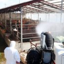 유수정농장 이미지