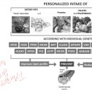 Nutrigenetics—personalized nutrition in obesity and cardiovascular diseases 이미지