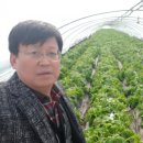 장근농장 네이버블로그