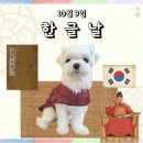 퍼피야놀자 이미지