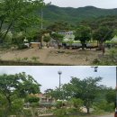 이담주유소 | (양평) 소나무 그늘과 계곡이 흐르는 금물산 하늘소캠프