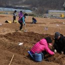 부자농장2 이미지