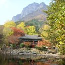 가을여행 이미지