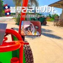 블루라군 | 라오스 블루라군 버기카 대여 가격 후기