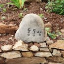 동동샘