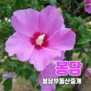 41590-01-01-15 이미지