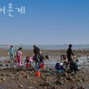 교로어촌계