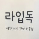 라입독 이미지