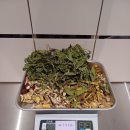 토끼씨한의원 이미지