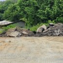 도마 태양광발전소 이미지