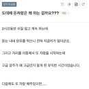 타비타비프레바 이미지