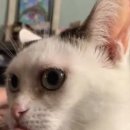 하나로농장 이미지