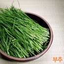 엠제이마취통증의학과의원 이미지