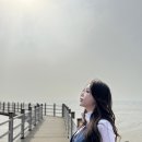 두리네 이미지