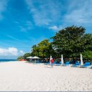 파라다이스 이미지