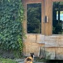 다원다방 | 2025년 5월의 제주2, 소길다방, 호커센터, 올티스 솔직후기