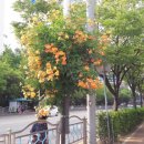 순천향대학병원 이미지