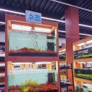 율마로 | 김포 아이와 가볼만한곳 상아쿠아,물집사 어항 레이아웃 쇼핑 후기까지