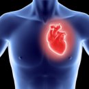 오투존 휘트니스 이미지