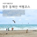 감포 더 고아라 비치 펜션 | 경주 동해안 투어 l 감포 1박 2일 여행코스 펜션 후기