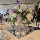 가본이비인후과의원 | 3월 이곳저곳