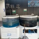 OK도매횟집 화명점 이미지