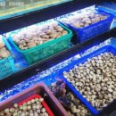 소담촌 평택소사벌점 이미지