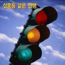 인생신호등 이미지