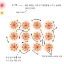 지구전자전기 이미지