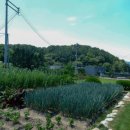 산내음민박 이미지