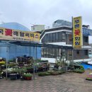 푸른꽃화원 - 춘천시 거두길 209 | 푸른꽃화원