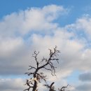 쥴리안 Santa Ysabel open space preserve 이미지