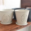 선인어린이집 이미지