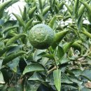 천해농장 이미지