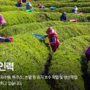 서부인력개발
