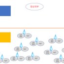호성프라자약국 이미지
