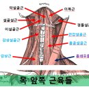 달천한의원 이미지