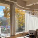 브레드유스 | 율동공원 근처 카페 마지아브레드(넘맛있어요)