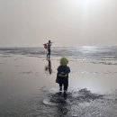 반암 농장 | 5월여행) 아이동반 고창여행코스 추천