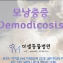 미엘동물병원 이미지