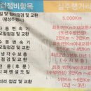 오토오아시스 하당푸른점 네이버블로그