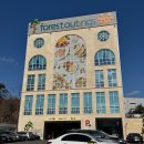 GS25 기흥농서점 | 경기 용인 기흥 대형카페 맛집 포레스트아웃팅스 용인점 내돈내산 크리스마스 웨이팅 후기