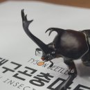 장수마트 이미지