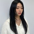 노원헤어학원 후기 찾아보다 공감했던 이야기